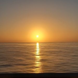 Meet your Posher, Dee